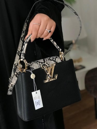 شنطه لويس فيتون ماستر معا ملحقاتها