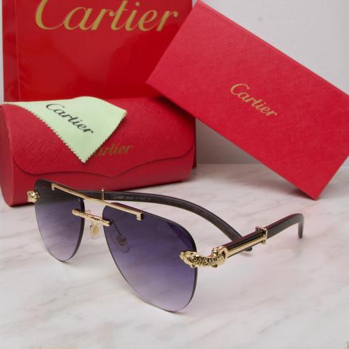 نظاره كارتير معا ملحقاتها