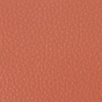 محفظة بطاقات