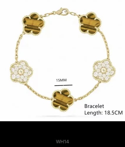 سوار فان كليف مع الملحقات