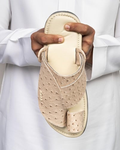 نقشة النعام 2