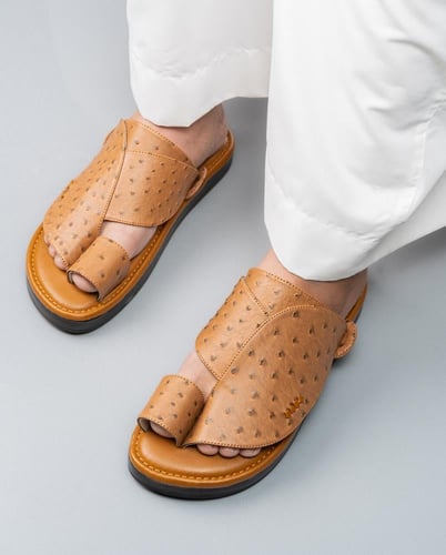 نقشة النعام 4