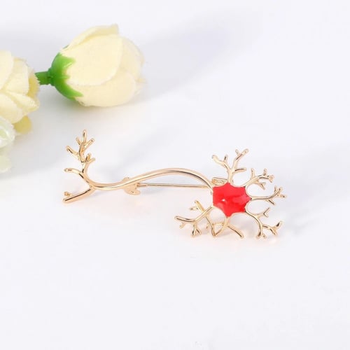 بروش الجهاز العصبي