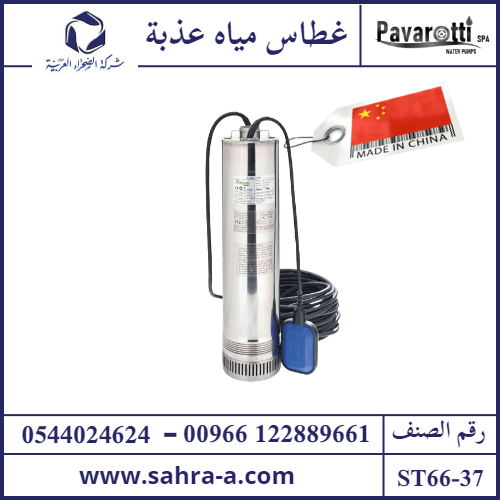 غطاس عمائر 1HP مخرج 1.25 بوصة مع سلك 12م مع عوامة