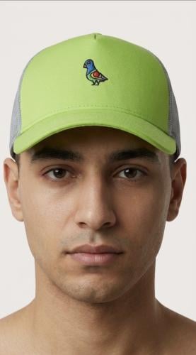 Cap - Grey & Green