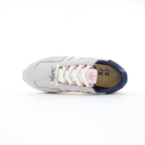 Adidas Retropy E5 Grey Blue Pink