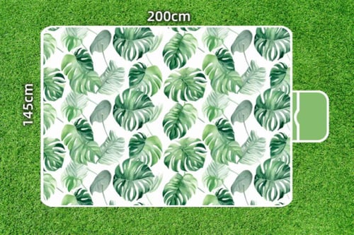 بكج الرحلات