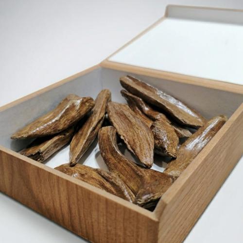 عود اي بي بريس