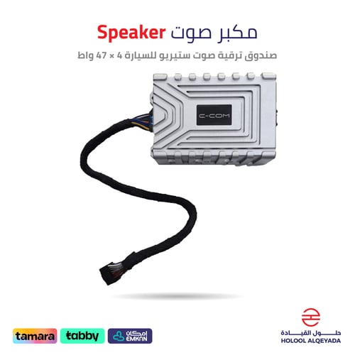 مكبر صوت للسيارة