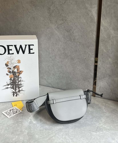 Loewe mini Gate Dual bag