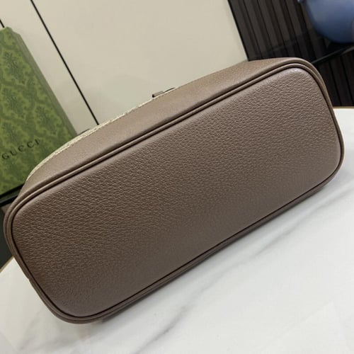 قوتشي اوفيديا متوسطة الحجم