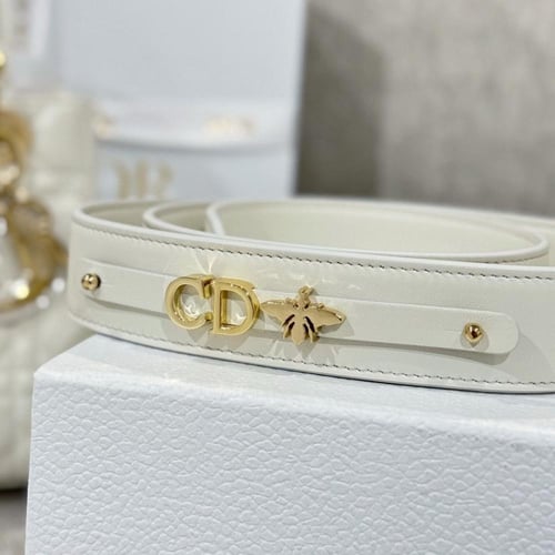Small Lady Dior Bag مقاس السمول