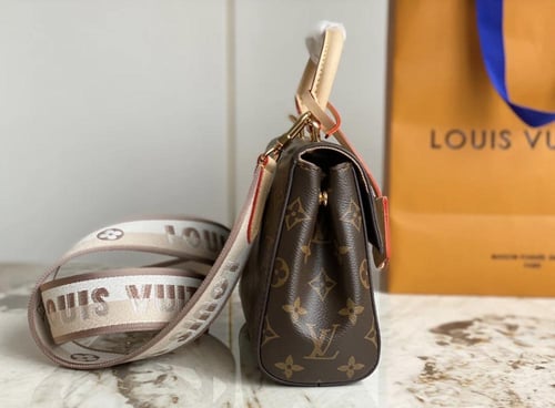 Louis Vuitton Cluny mini