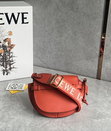 Loewe mini Gate Dual bag