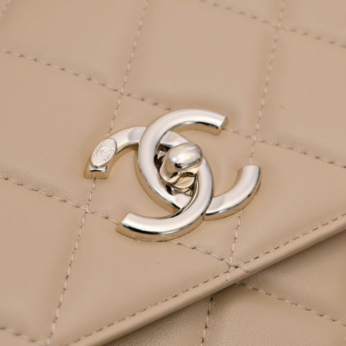 فلاب باق توب هاندل مقاس 25cm