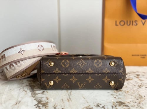 Louis Vuitton Cluny mini