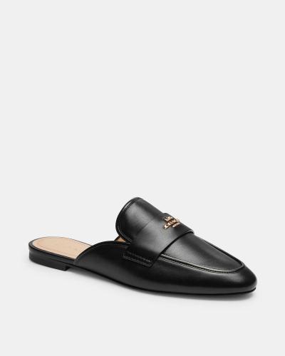 حذاء سلايد كوتش