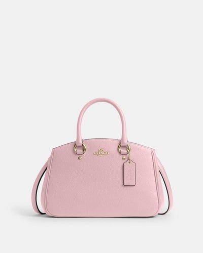 شنطه صغيره من كوتش