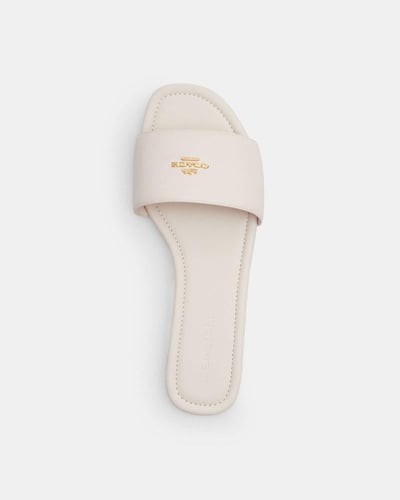 سلبر كوتش اوف وايت