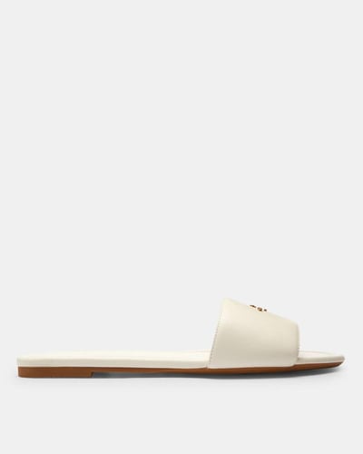 سلبر كوتش اوف وايت