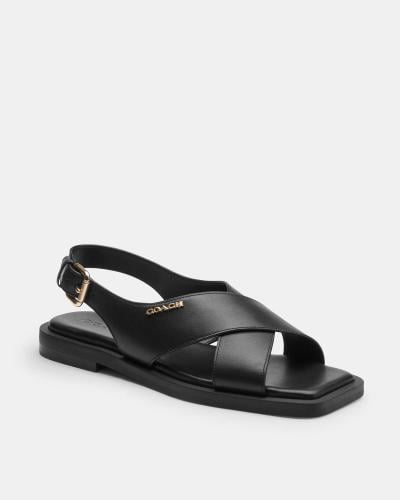 صندل كوتش أسود