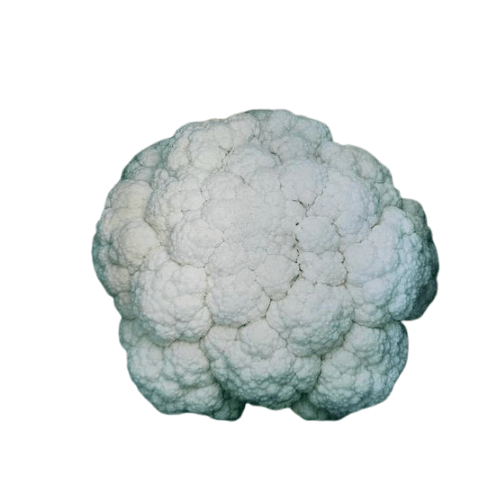 بذور قرنبيط