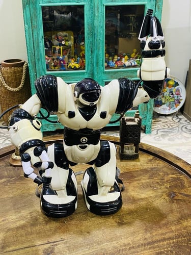 من النوادر؛ ريبوت جميل جداً كبير الحجم مقارنة بالأ...