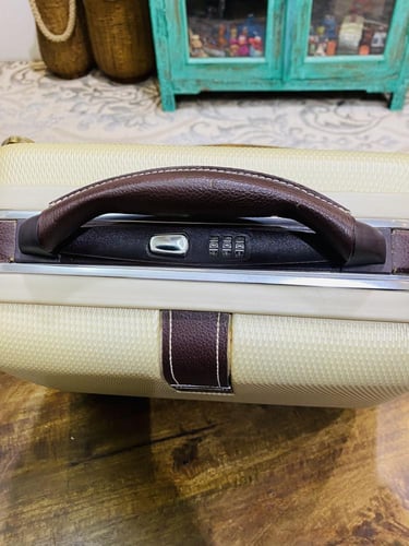 من النوادر؛ شنطة نسائية بلون مميز من شركة ديلسي ال...