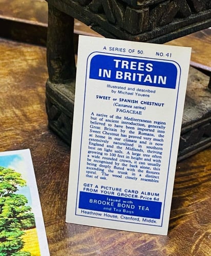 عدد ٤٨ كرت “أصل” عن الأشجار في بريطانيا؛ كانت تصدر...