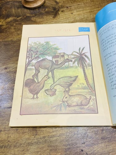 من البنود التعليمية الشحيحة؛ كتاب بعنوان القراءة ا...