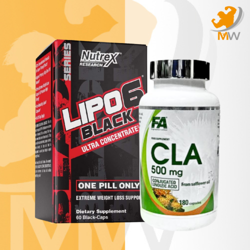 كورس حرق الدهون