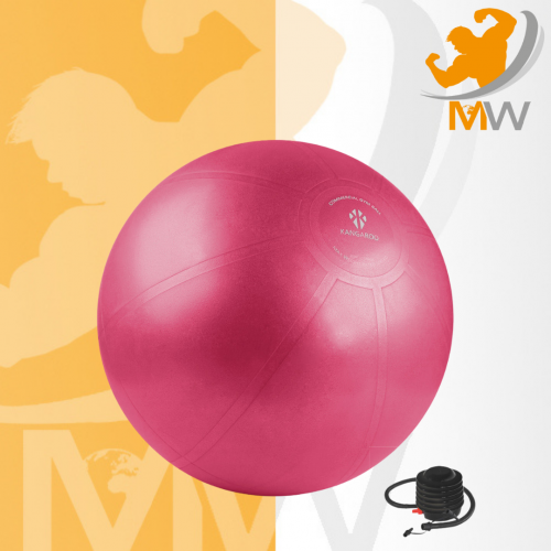 كانجرو كرة اليوجا وردي 65 سم 1200 جم مع منفاخ