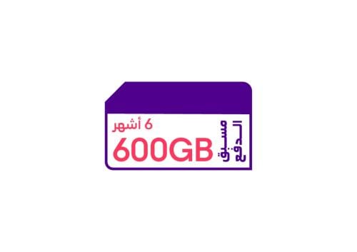 كويك نت 600 جيجا 6 أشهر
