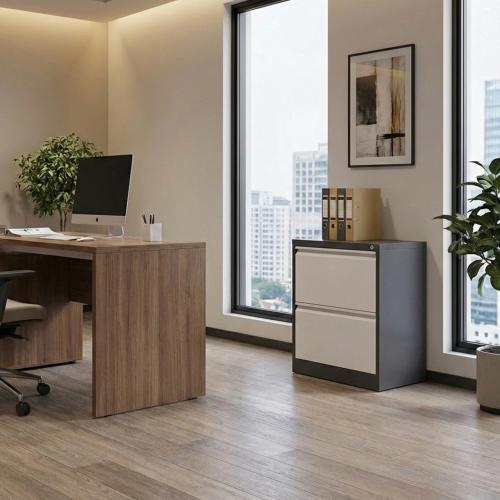 خزانة حديد إيمانويللا درجين - ابيض ورمادي