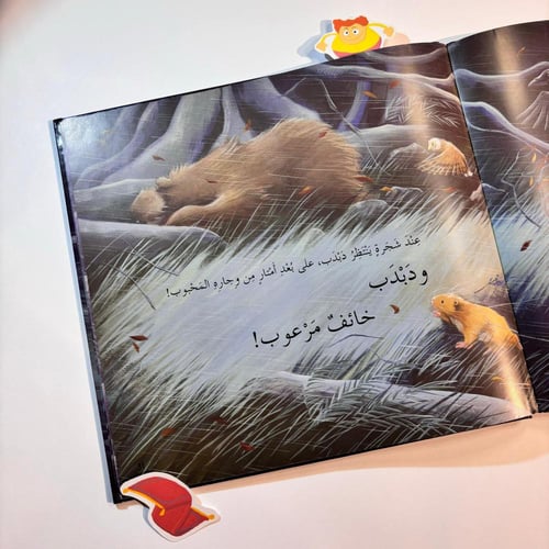 الدب الخائف