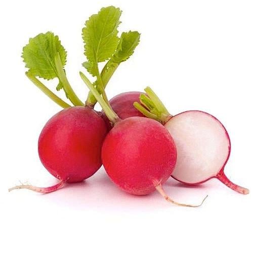 فجل احمر حزمه
