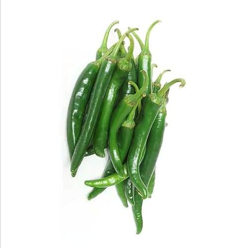 فلفل اخضر حار