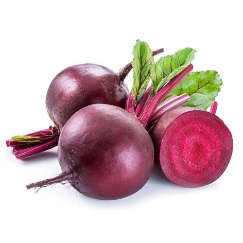 شمندر
