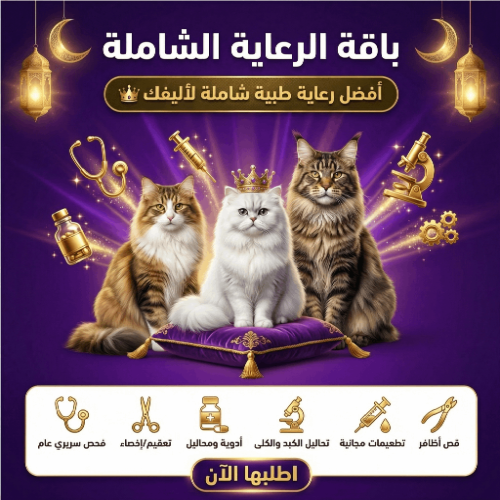 باقة الرعاية الشاملة
