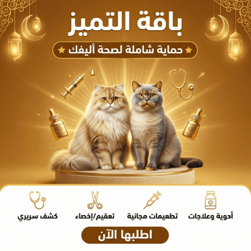 باقة التميز