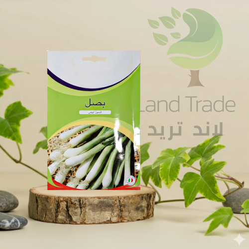 بذور بصل لبسون أبيض ( 3 غم )