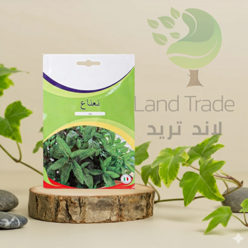 بذور نعناع منت ( 0.5 غم )