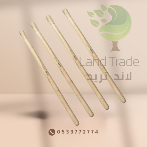 عصا مسحاة إيطالي 90 سم × 50