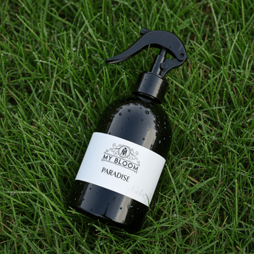 برادايس - PARADISE