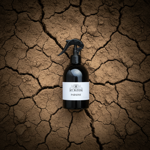 برادايس - PARADISE