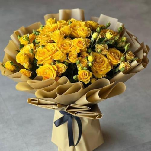 باقة اشراقة