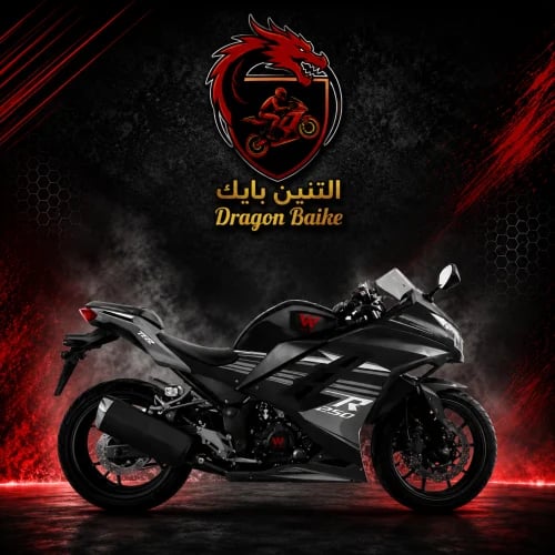 ريس 250 CC الوسام الناري اسود و رصاصي