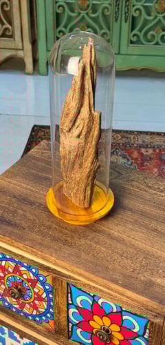 تُحفة عود هندي ناجلاند الطبيعي وزن 186 جرام