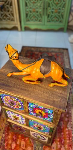 جمل من الجلد الفاخر 1