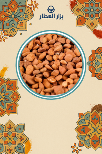 بذور المشمش 1000 جرام